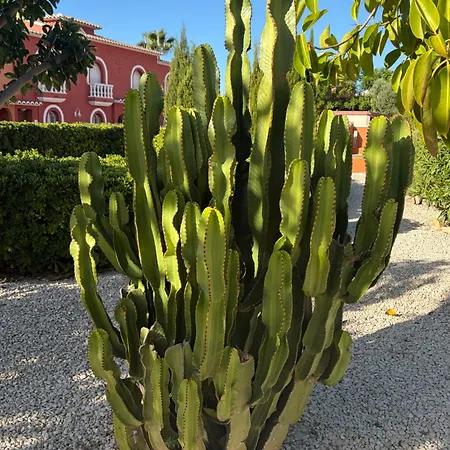 Appartamento Casa Del Sol